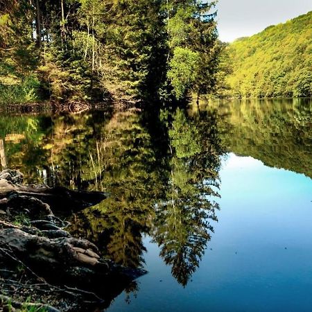 فيلا Haus Elpe Naehe Meschede Winterberg اولسبرغ المظهر الخارجي الصورة
