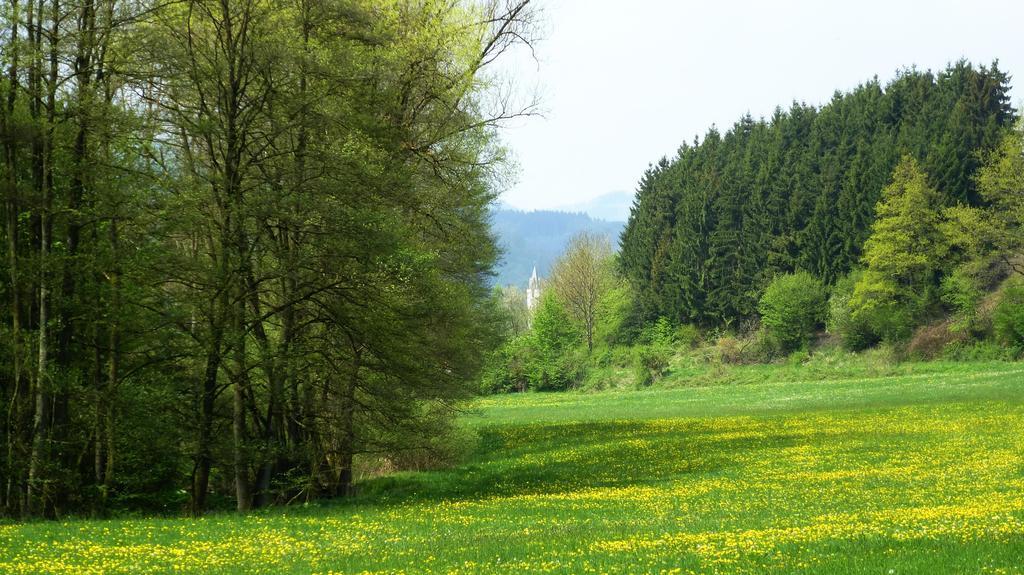 فيلا Haus Elpe Naehe Meschede Winterberg اولسبرغ الغرفة الصورة
