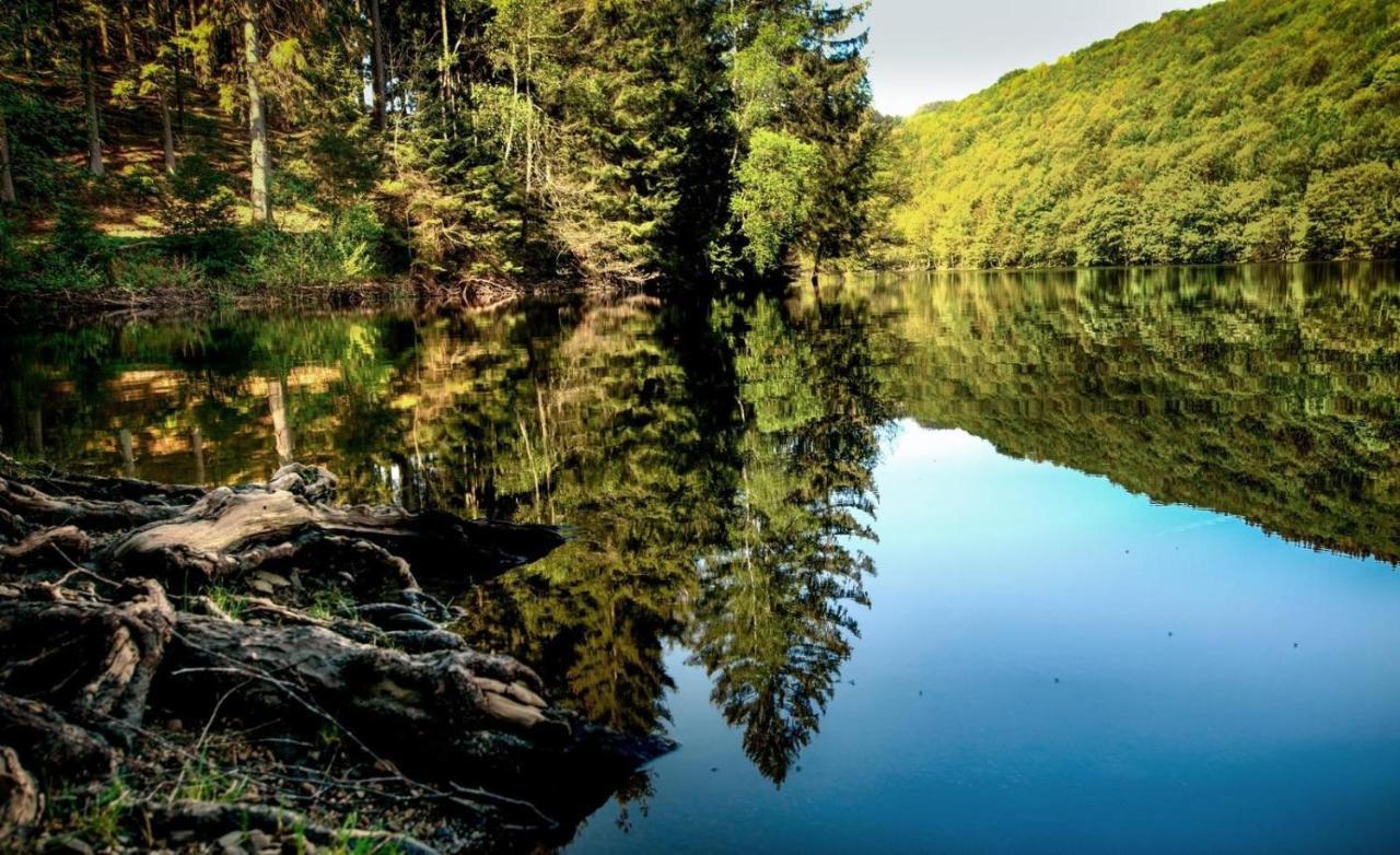 فيلا Haus Elpe Naehe Meschede Winterberg اولسبرغ المظهر الخارجي الصورة