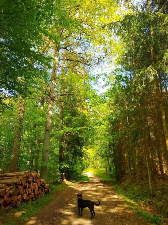 فيلا Haus Elpe Naehe Meschede Winterberg اولسبرغ المظهر الخارجي الصورة